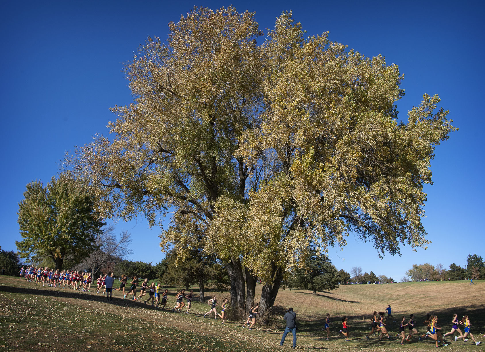 State cross country, 10.25